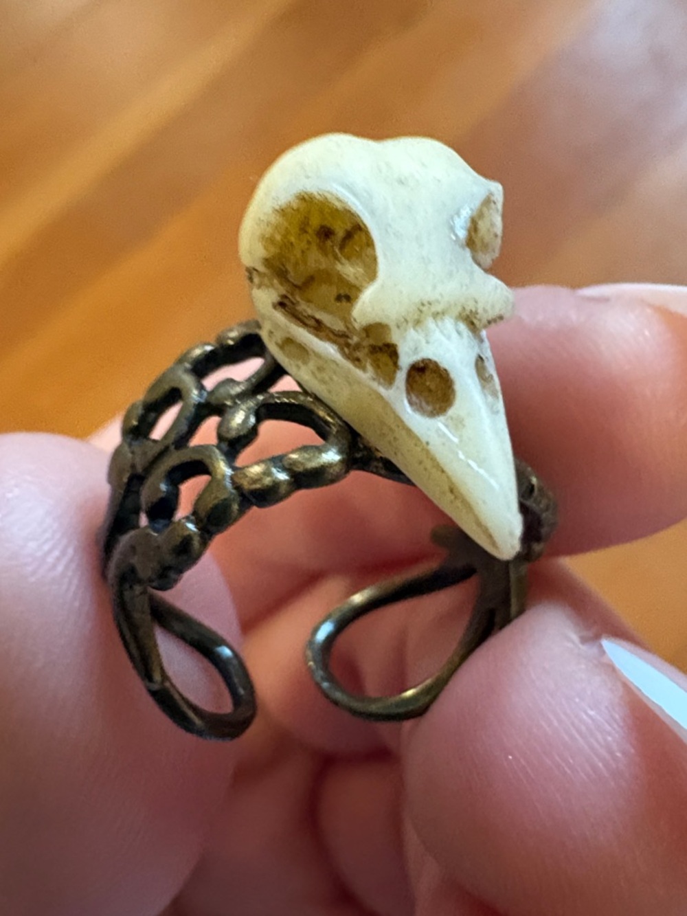 Hand-Crafted Adjustable Bird Skull Ring with Antique Brass Band - Cream & Brass
